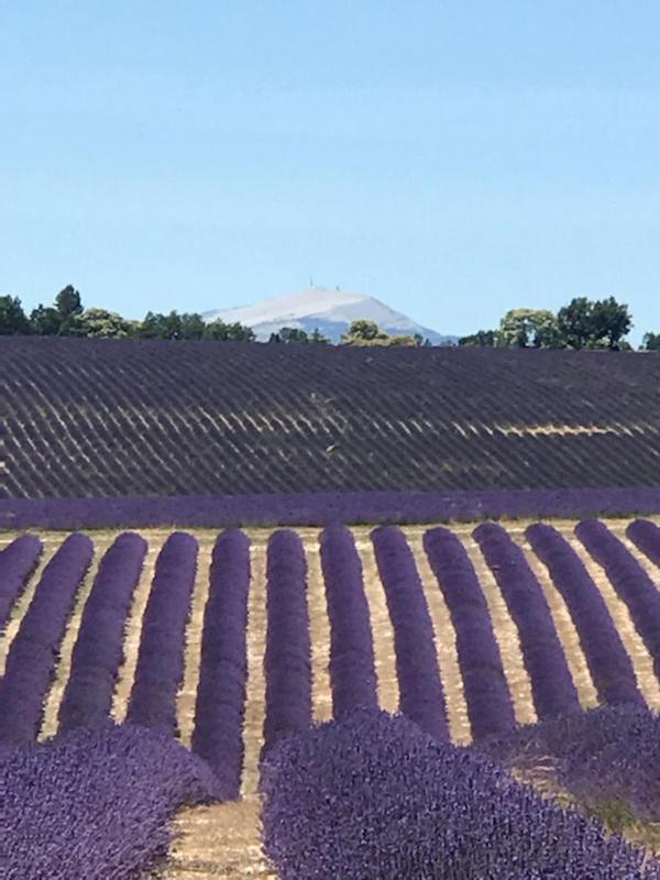 Villa Au Pied Du Ventoux Mormoiron Dış mekan fotoğraf